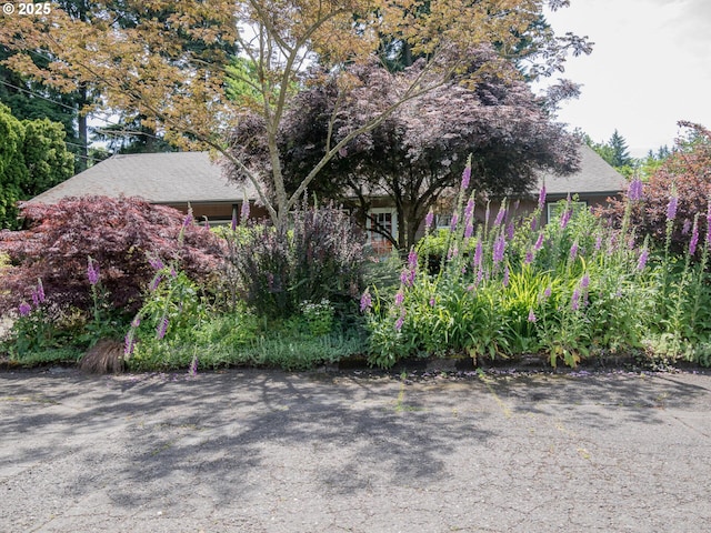 17758 SE Washington St, Portland, OR 97233 - view of front facade with a shingled roof