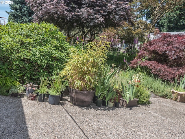 17758 SE Washington St, Portland, OR 97233 - view of yard