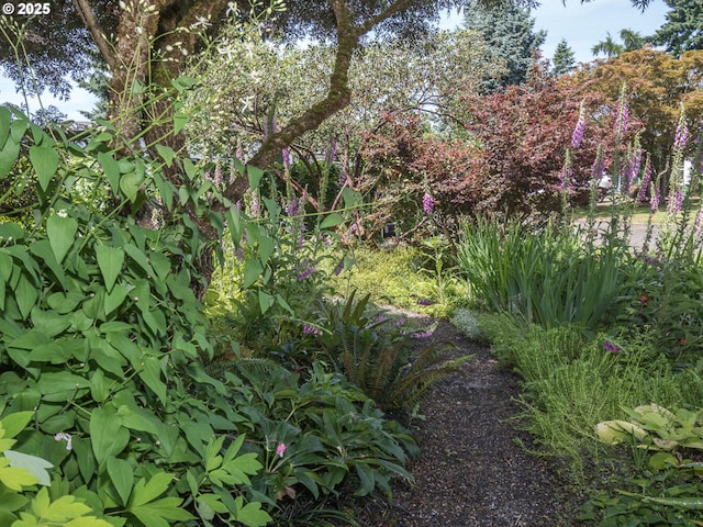 17758 SE Washington St, Portland, OR 97233 - view of nature