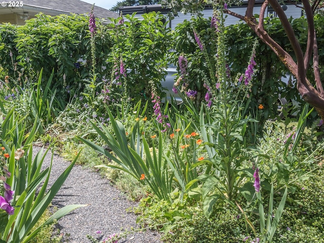 17758 SE Washington St, Portland, OR 97233 - view of yard