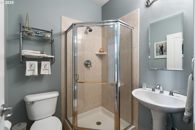 bathroom with sink, a shower with door, and toilet