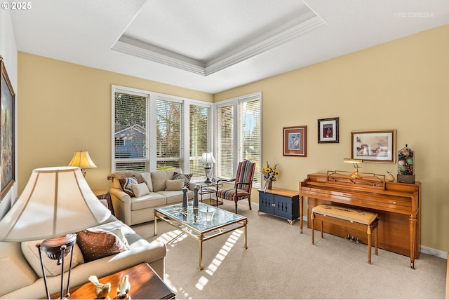 carpeted living room with a tray ceiling