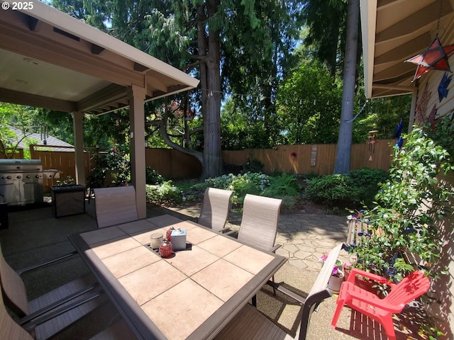 view of patio / terrace featuring area for grilling