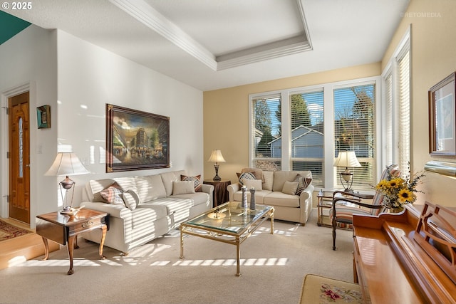 living room featuring light carpet and a tray ceiling