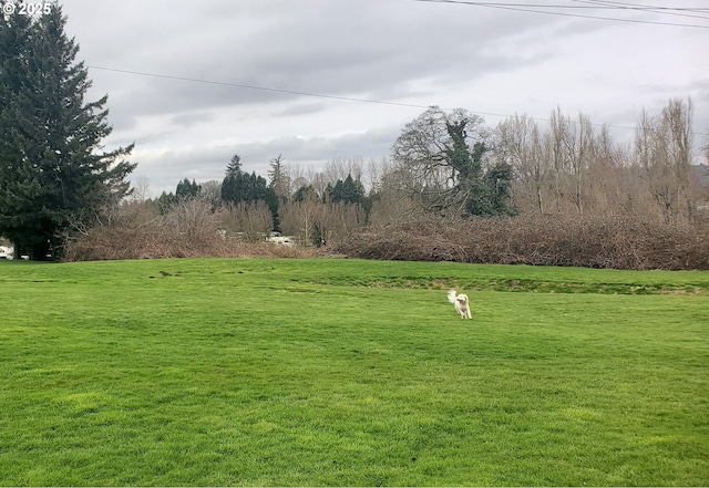 view of property's community featuring a lawn