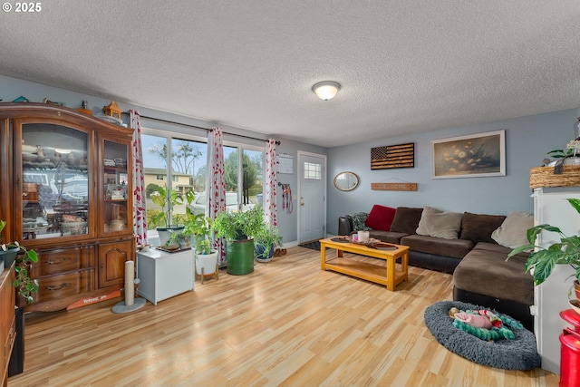 living room featuring a textured ceiling and light hardwood / wood-style flooring