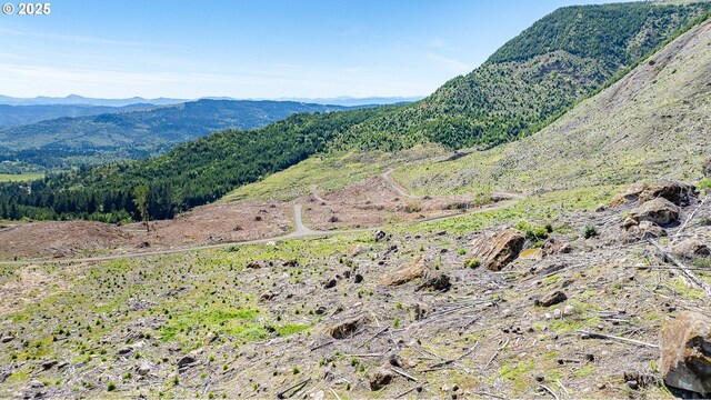 Snowberry Rd, Roseburg, OR 97471