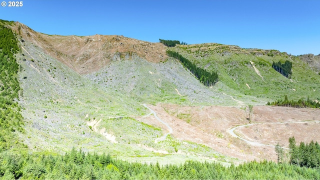 Snowberry Rd, Roseburg, OR 97471