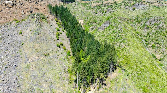 Snowberry Rd, Roseburg, OR 97471