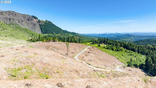 Snowberry Rd, Roseburg, OR 97471