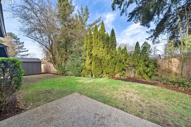 view of yard featuring a storage unit