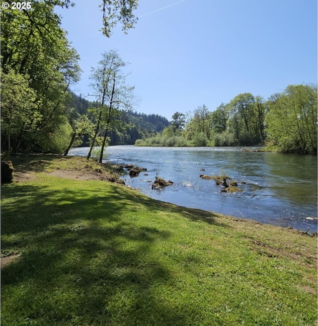 water view with a forest