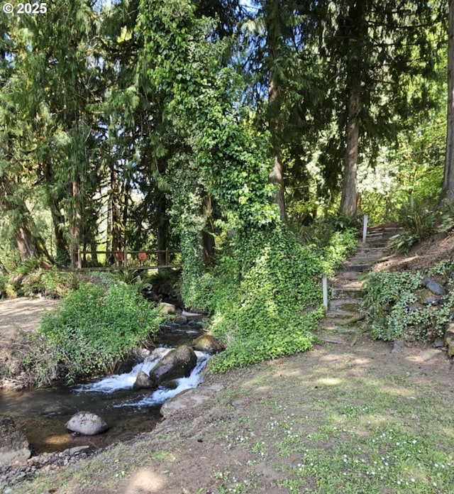 view of yard with stairway