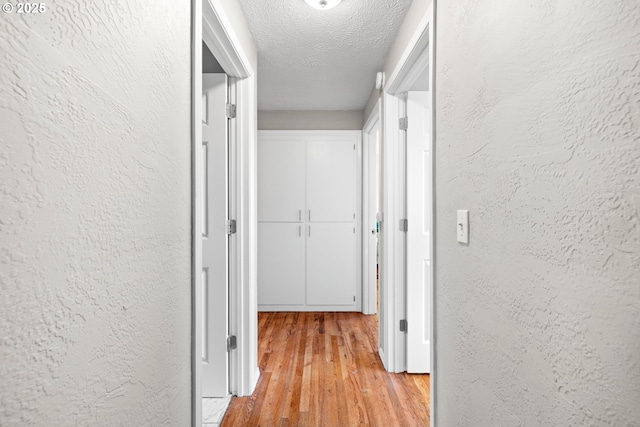 hall featuring a textured ceiling, light wood-type flooring, and a textured wall