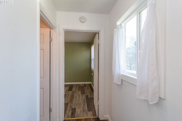 hallway with baseboards, wood finished floors, and a healthy amount of sunlight