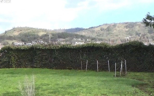 view of yard featuring a rural view and a mountain view