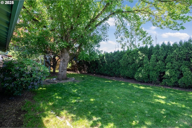 1363 SE 135th Ave, Portland, OR 97233 - view of green lawn