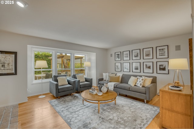 living room with hardwood / wood-style floors