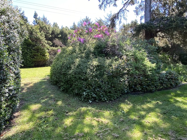 view of grassy yard