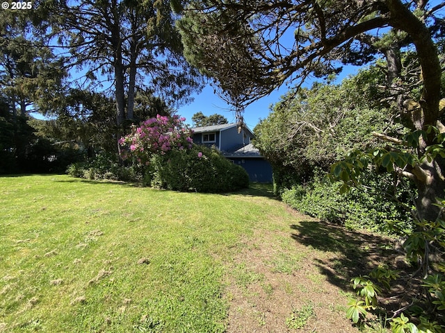 view of grassy yard