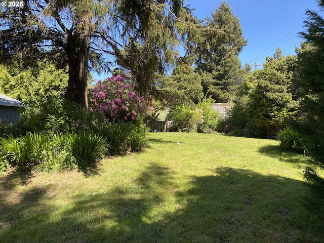 view of yard