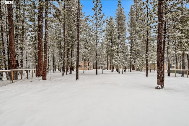 view of yard covered in snow