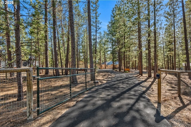 exterior space featuring driveway, a gated entry, and a gate