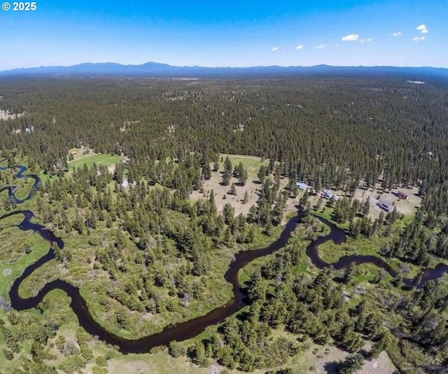 birds eye view of property with a mountain view