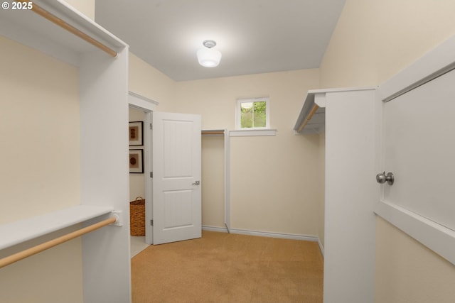 3184 SW 73rd Ave, Portland, OR 97225 - walk in closet featuring light carpet
