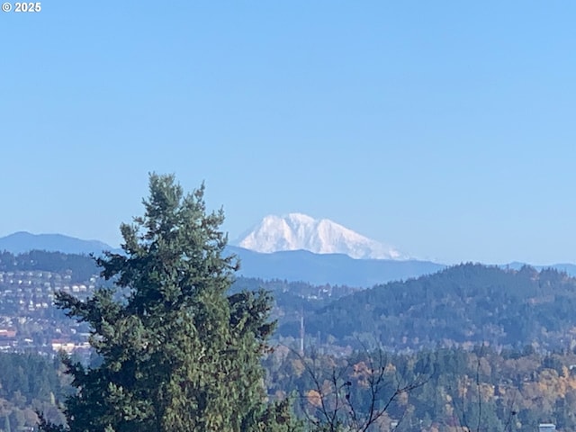4025 Horton Rd, West Linn, OR 97068 - view of mountain backdrop