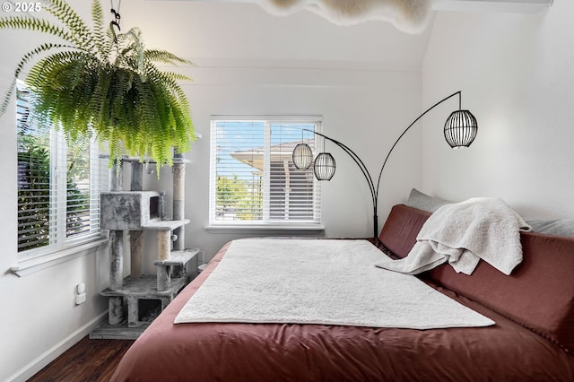2210 Winter St SE, Salem, OR 97302 - bedroom featuring dark wood-style floors and multiple windows