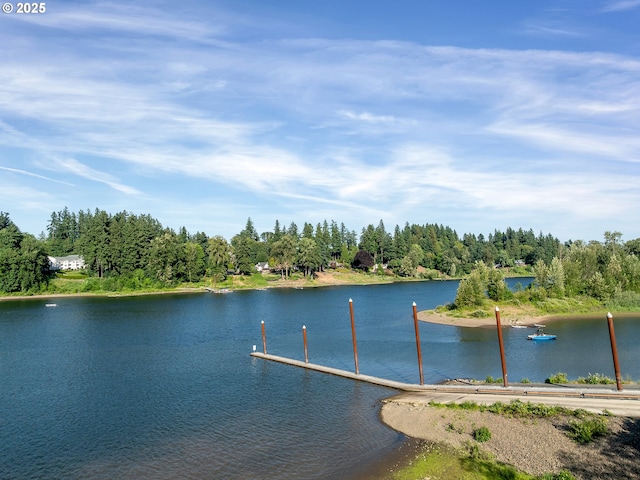 1354 Skye Pkwy, West Linn, OR 97068 - water view