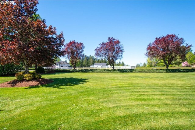 view of green lawn