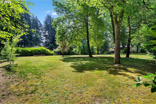 5239 Madrona St, Lake Oswego, OR 97035 - view of green lawn