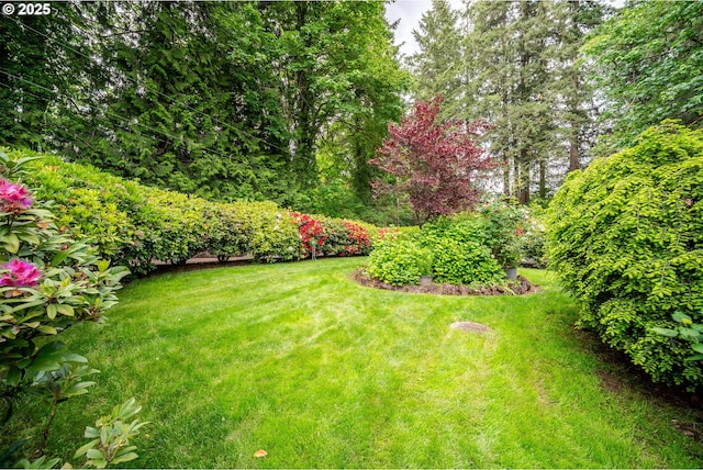 14000 NE 97th Ave, Vancouver, WA 98662 - view of grassy yard