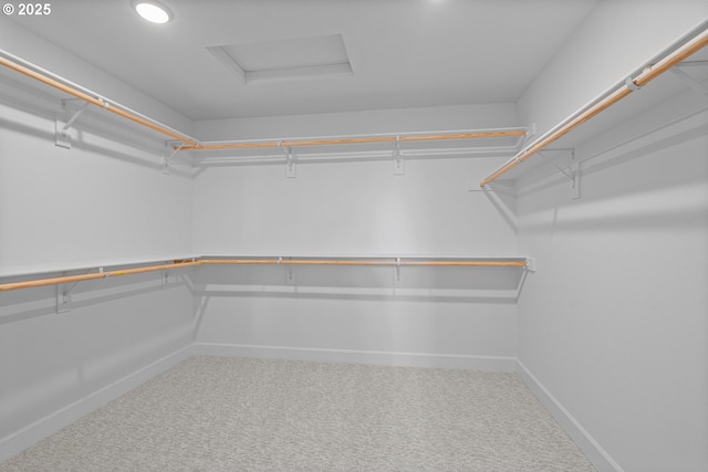 walk in closet with carpet