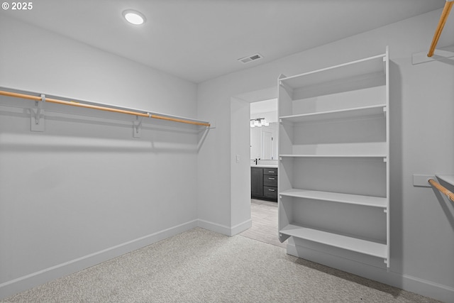 spacious closet with light carpet