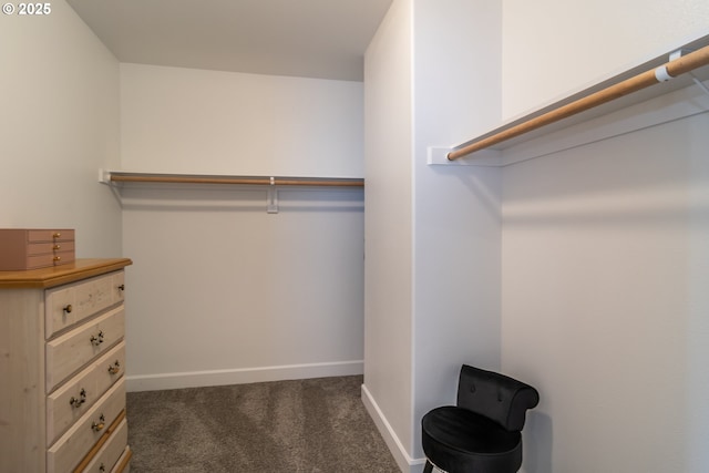 spacious closet with dark carpet