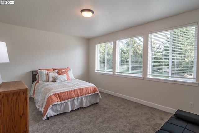 bedroom with baseboards and carpet floors