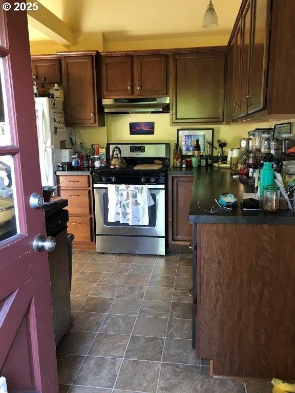 934 SE Nehalem St, Portland, OR 97202 - kitchen featuring stainless steel appliances, under cabinet range hood, dark countertops, and dark stone finish flooring