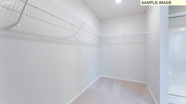 spacious closet featuring carpet flooring