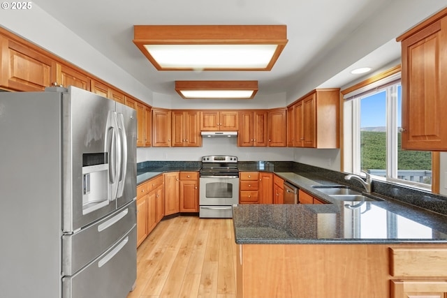 kitchen with a peninsula, a sink, stainless steel appliances, light wood-style floors, and under cabinet range hood