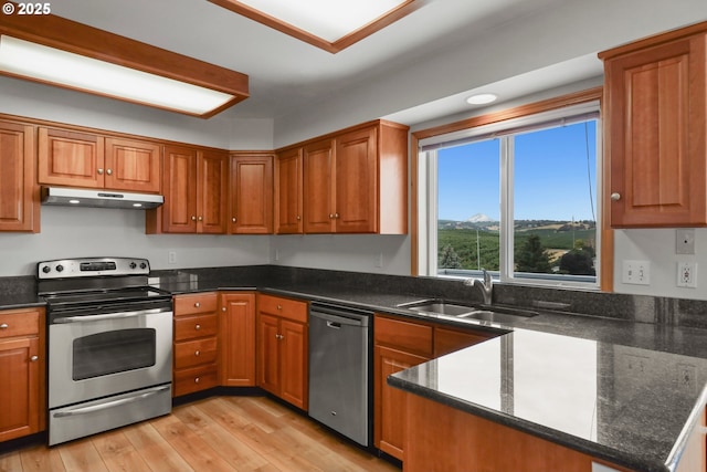 kitchen with under cabinet range hood, light wood-type flooring, appliances with stainless steel finishes, brown cabinetry, and a sink