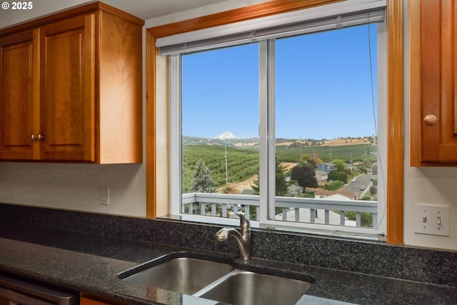 kitchen with a sink, a healthy amount of sunlight, brown cabinetry, and dishwasher