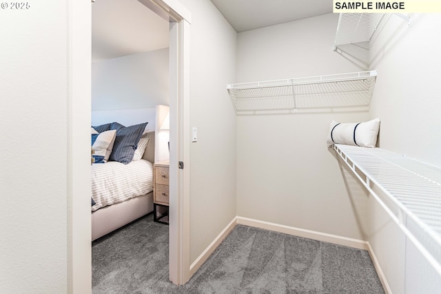 23623 SW Landon Pl, Tualatin, OR 97062 - walk in closet featuring carpet floors