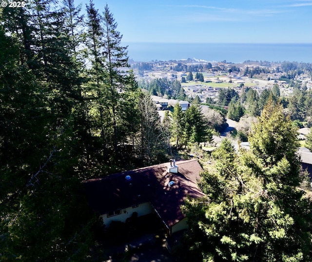 drone / aerial view