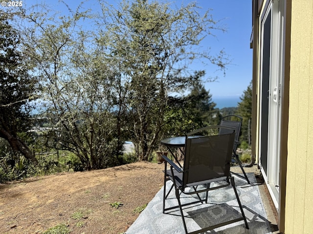 view of yard with a patio area
