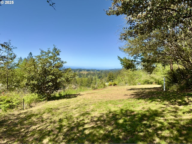 view of yard featuring a forest view