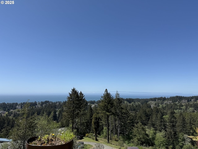 view of nature with a wooded view