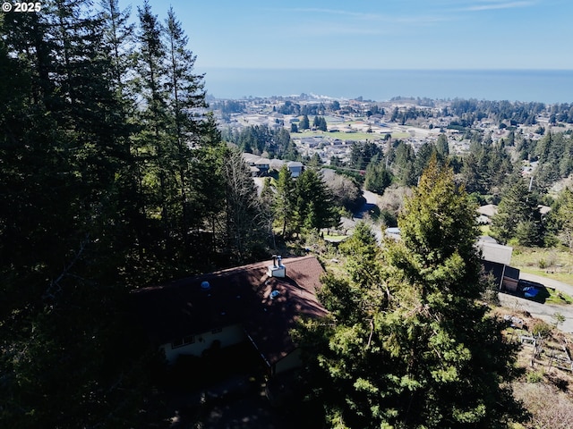 bird's eye view